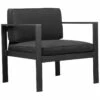 Pangea Home Karen Chair Seating 1 Pangea Home Karen Chair Seating -Pangea Sales Store 3070273327 RLLZ 1