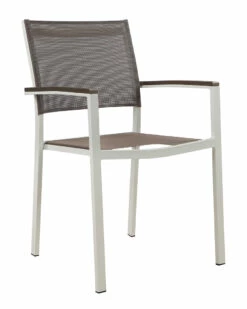 Pangea Set Of 6 David Dining Chars Home Seating