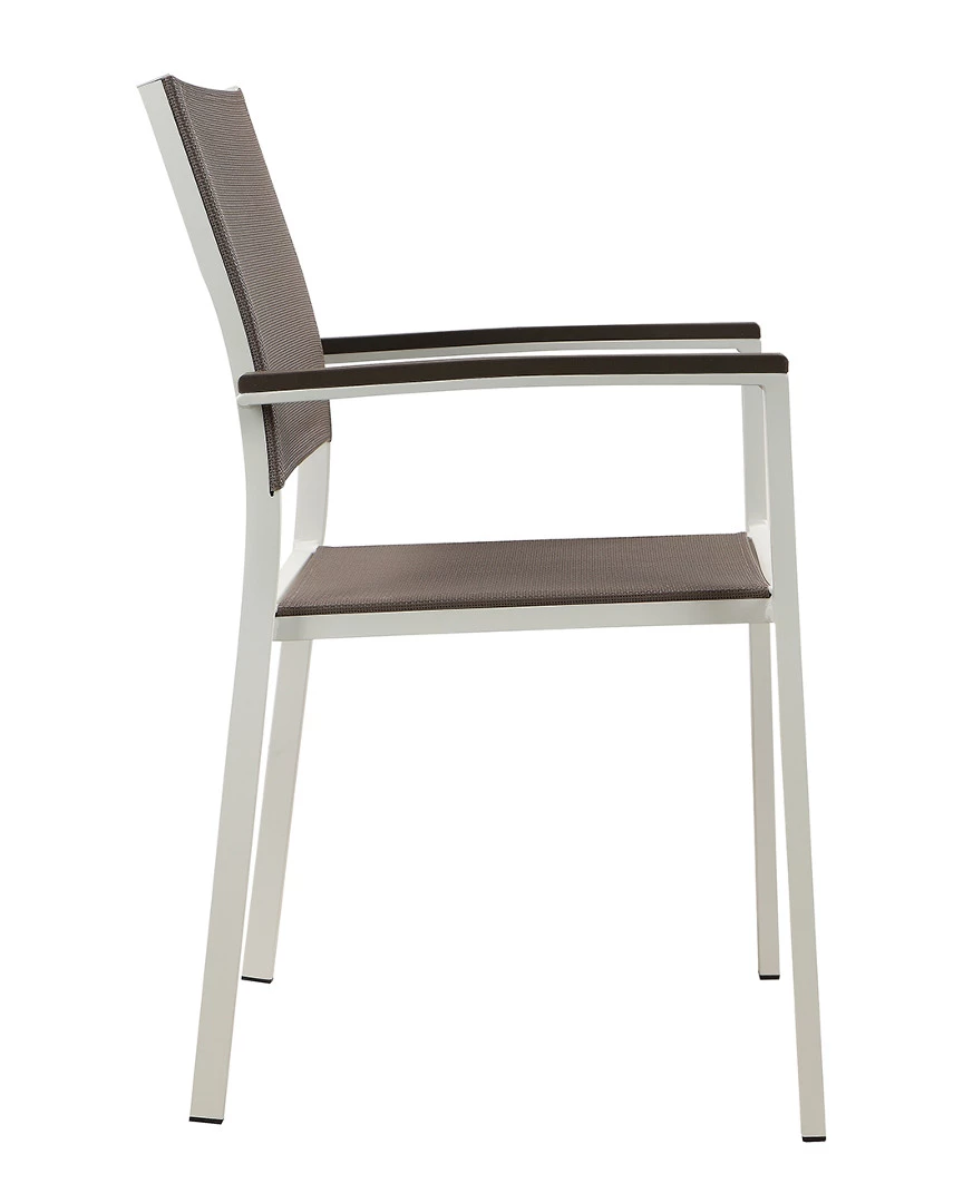 Pangea Set Of 6 David Dining Chars Home Seating 5 Pangea Set Of 6 David Dining Chars Home Seating - Image 3