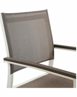 Pangea Set Of 6 David Dining Chars Home Seating 9 Pangea Set Of 6 David Dining Chars Home Seating -Pangea Sales Store 3070273341 RLLZ 4