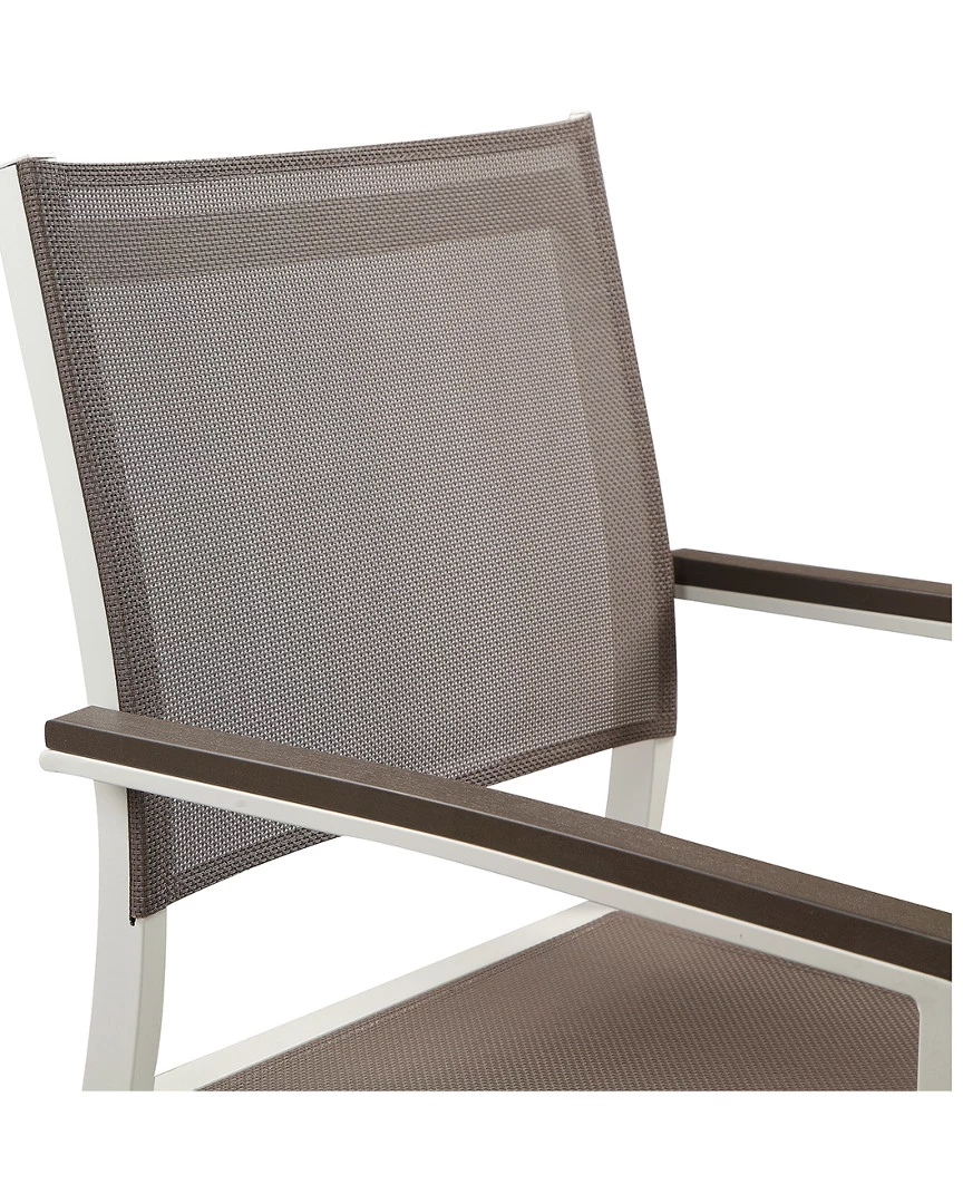 Pangea Set Of 6 David Dining Chars Home Seating 6 Pangea Set Of 6 David Dining Chars Home Seating - Image 4